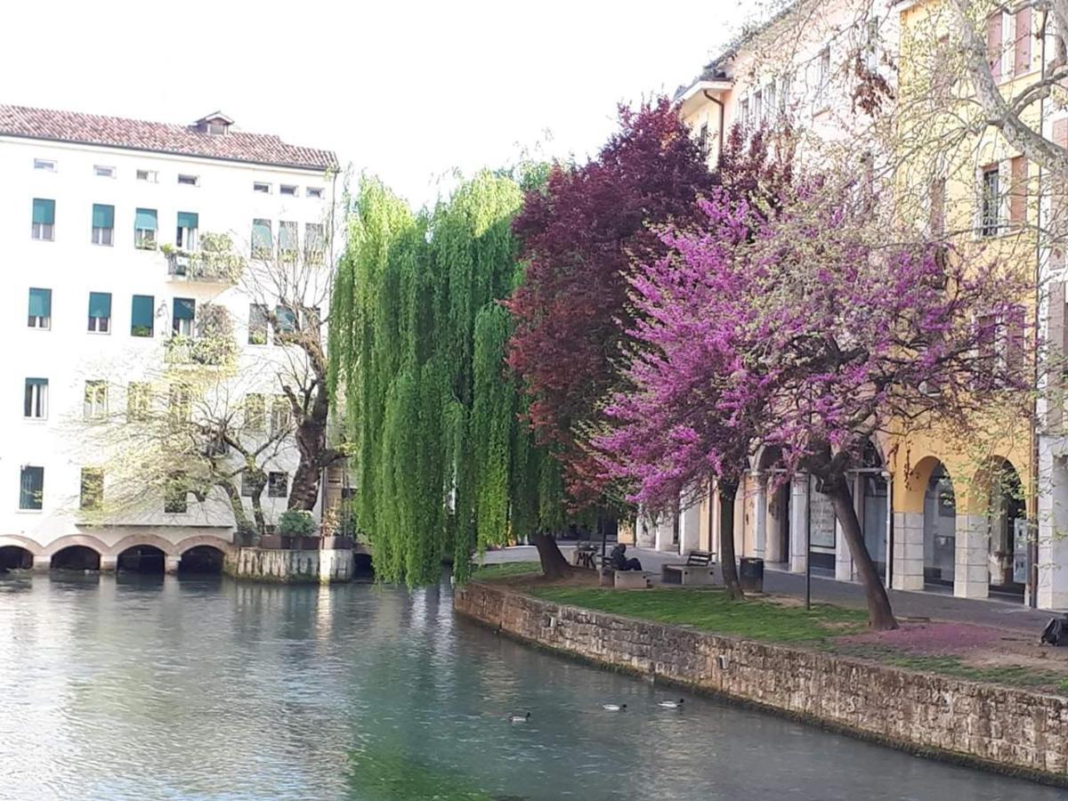 La Petite Maison Lejlighed Treviso Eksteriør billede